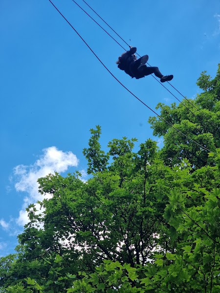 Go Ape Temple Newsam photo 3