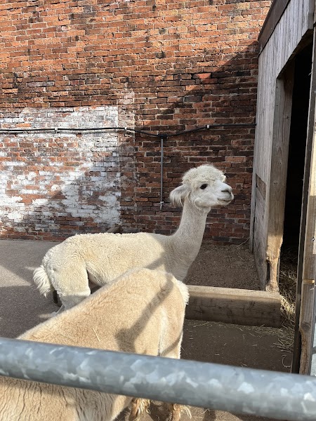 Wentworth Family Farm photo 2