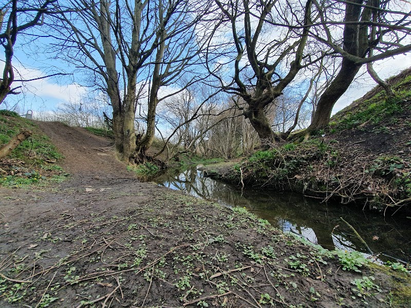 New Forest Woods photo 2