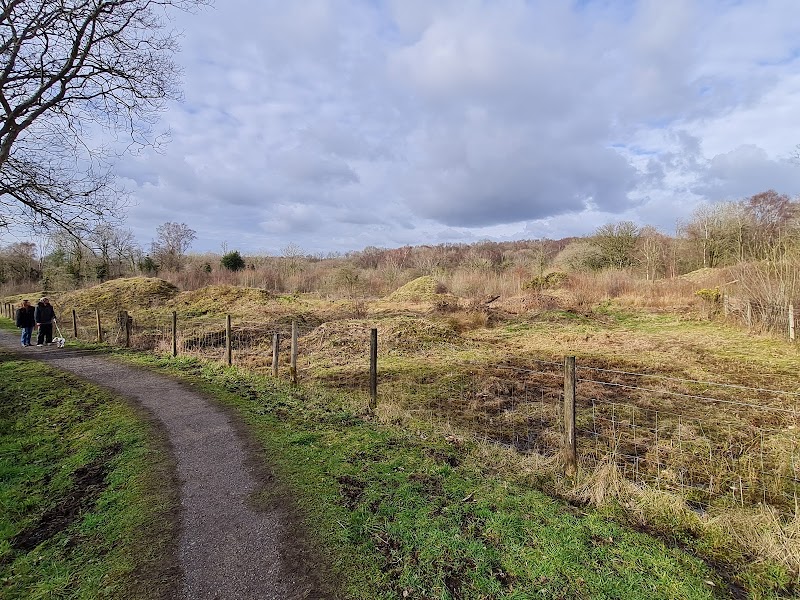 Jacksons Brickworks Local Nature Reserve photo 2