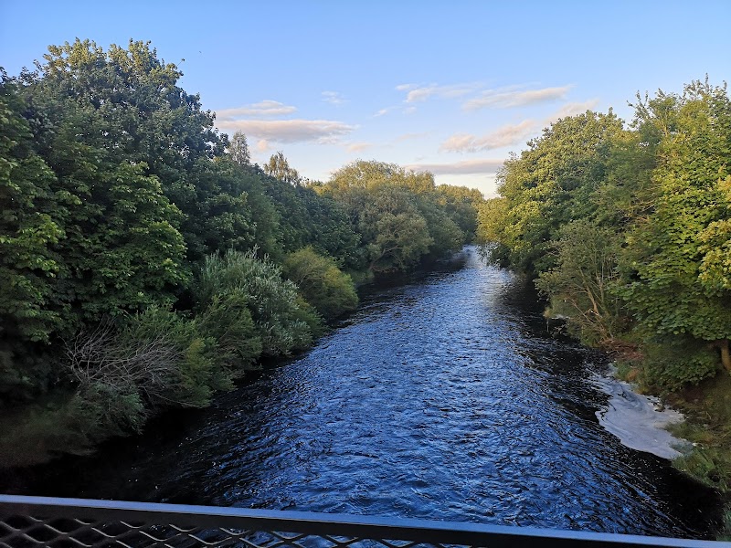 Wharfemeadows Park photo 3