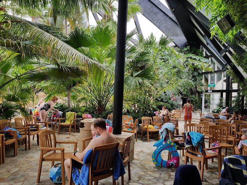 Subtropical Swimming Paradise photo 3