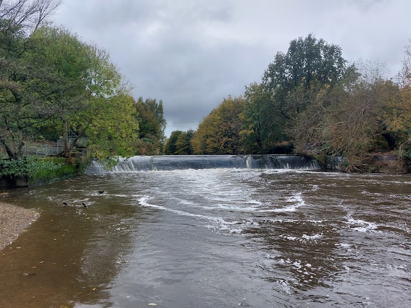 Kirkstall Valley Nature Reserve photo 3