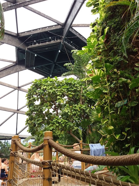 Subtropical Swimming Paradise photo 2