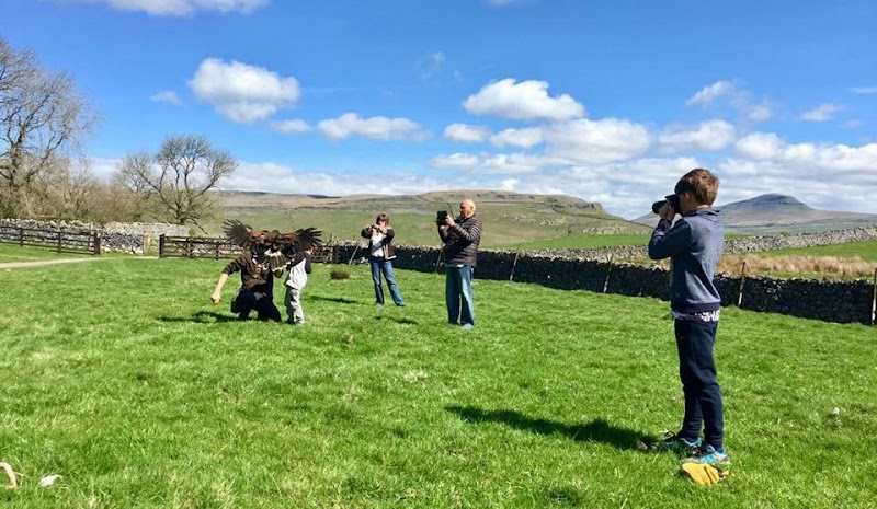 Settle Falconry photo 2