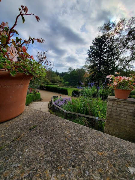 Golden Acre Park Tea Room photo 3