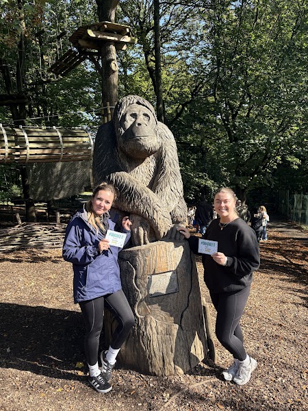 Go Ape Temple Newsam photo 4