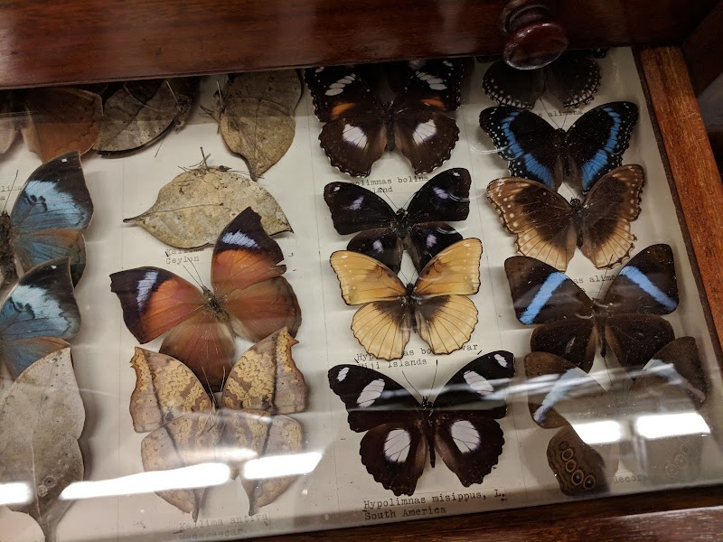 Leeds Discovery Centre photo 3