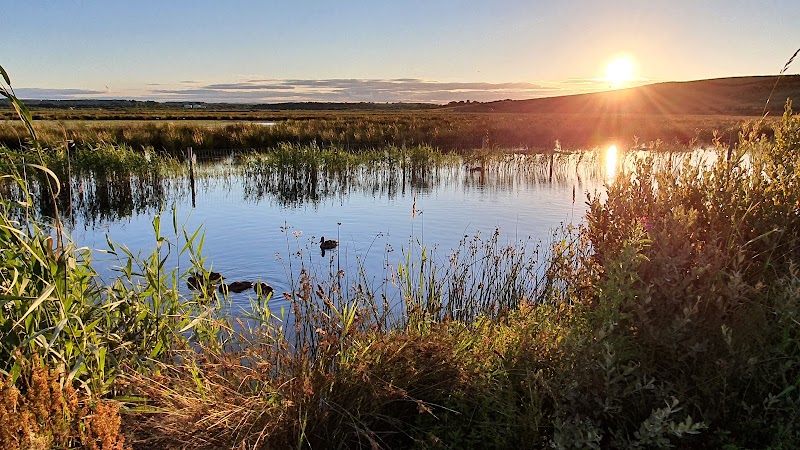 Bower's Lake photo 2