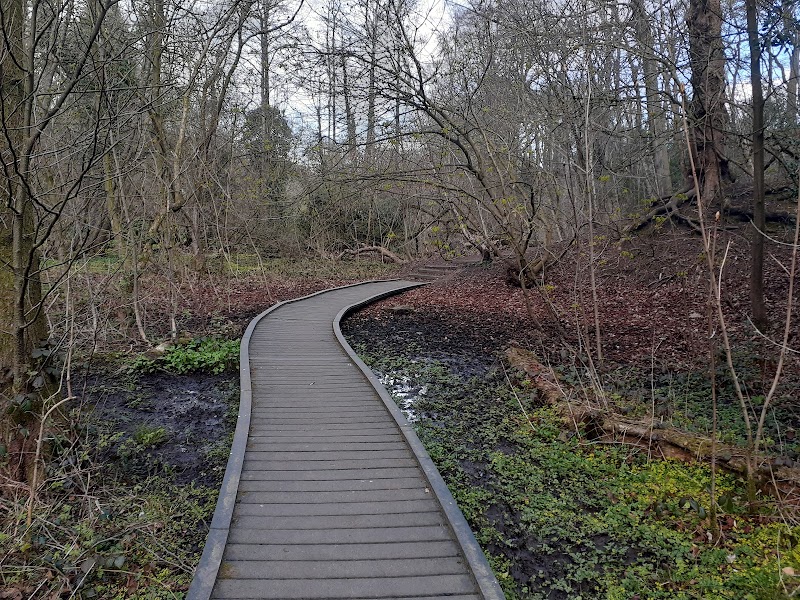 Eastwood Nature Reserve