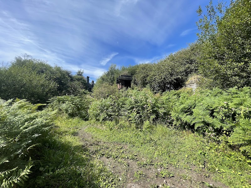 Partington Nature Reserve