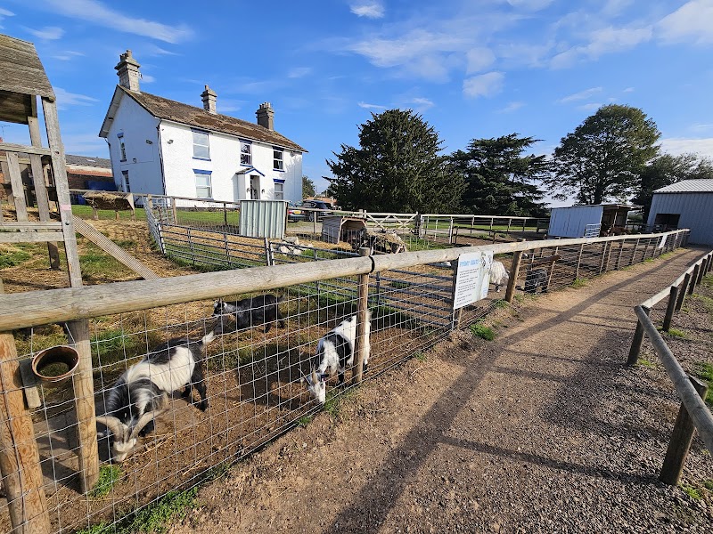 Boston Park Farm photo 2