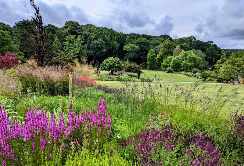 RHS Garden Harlow Carr